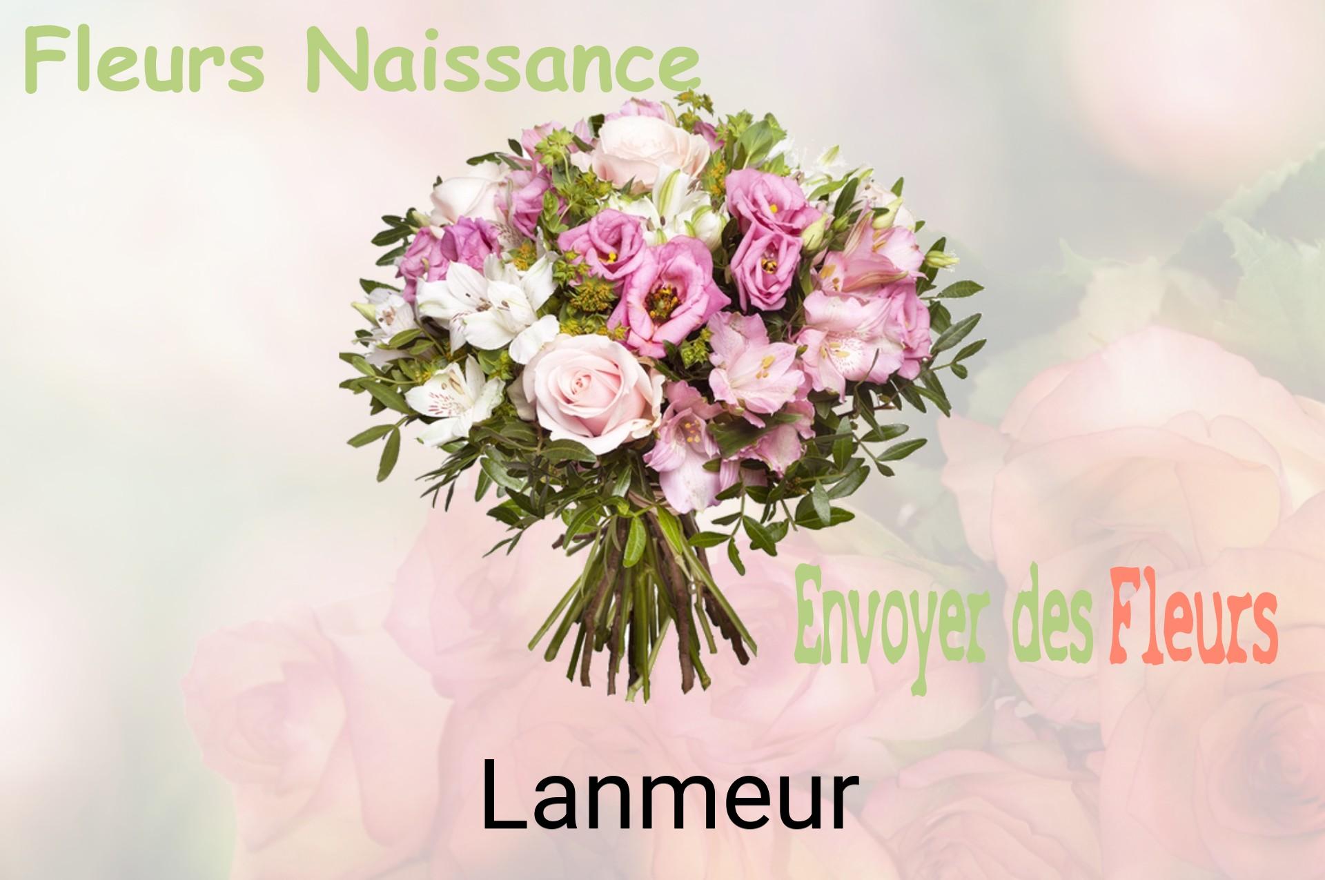 Bouquet de fleurs de naissance livré à Lanmeur